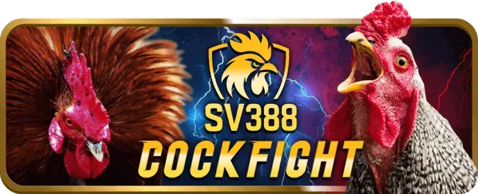 Đội ngũ hỗ trợ khách hàng chuyên nghiệp 24/7 của 79bet